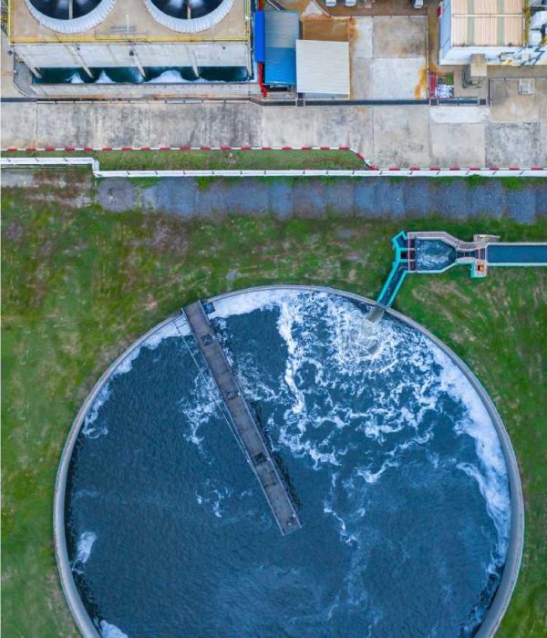 Untitled design (1) (1)