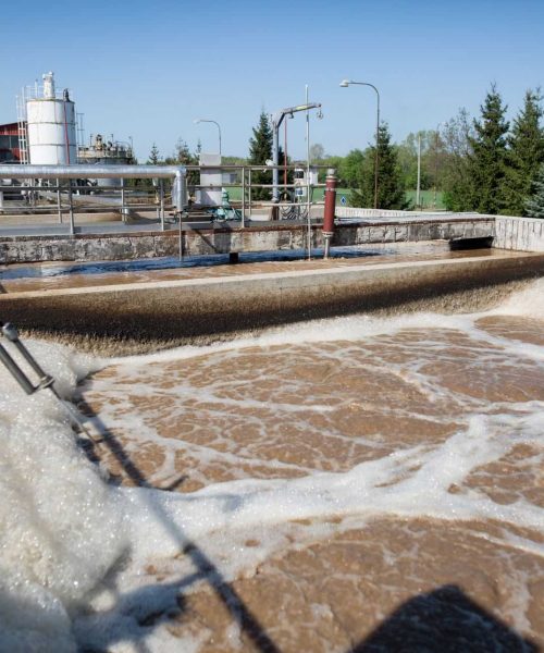 Untitled design (2) (1)